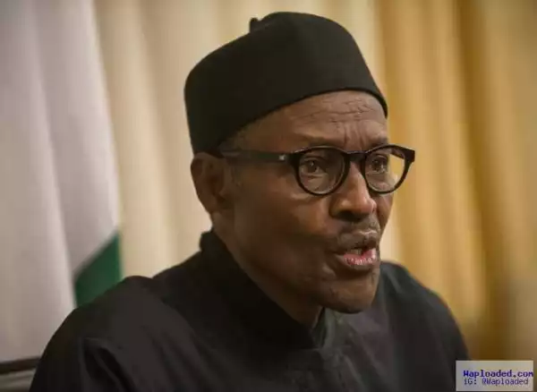 Why I excluded private sector players in economic team -Buhari